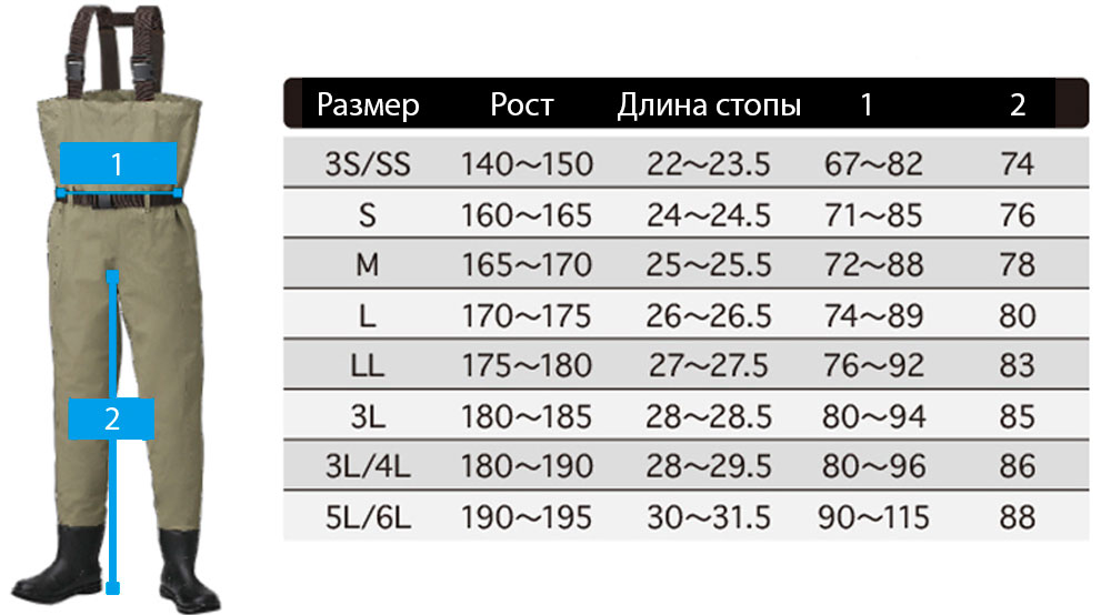 Розмірна сітка