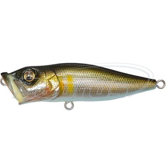 Фото Megabass PopX 64F, 6,4 см, 7 г, Takumi Seochi Ayu