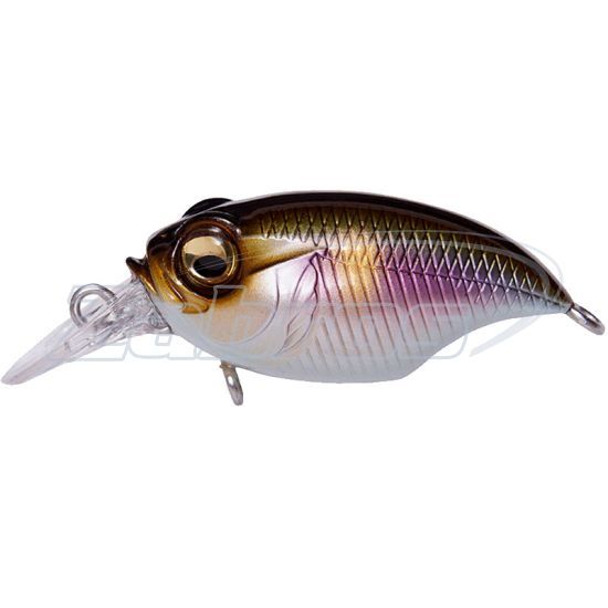 Фото Megabass Griffon Bait Finesse SR-X 38F, 3,8 см, 5,3 г, 1,2 м, PM Setsuki Ayu