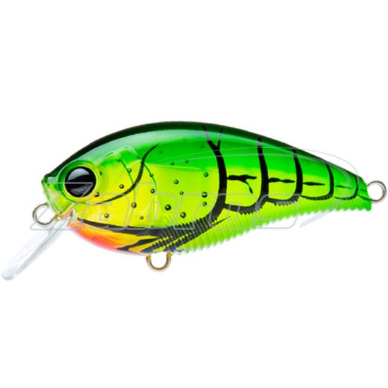 Фото Воблер Yo-Zuri 3DB Crank 1,5 MR 60F, 6 см, 13,5 г, 2,5 м, R1353-SCF