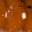 Green Pumpkin/Orange