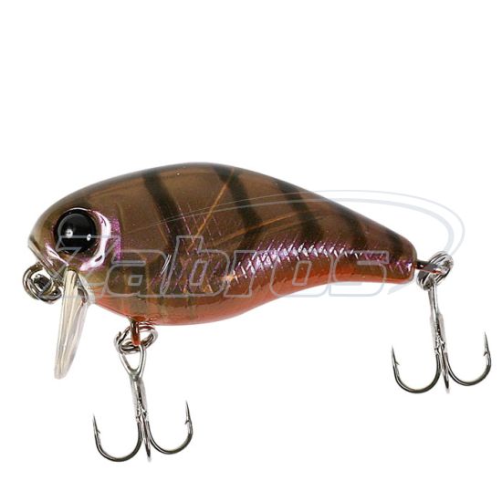 Фото Jackall Chubby 38 SSR, 3,8 см, 4,2 г, 0,2 м, Brown Suji Shrimp
