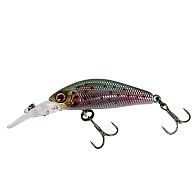 Воблер Jackall D Chubby Minnow 35SP, 3,5 см, 2,7 г, 1,5 м, Kawaguchiko Rainbow, купить, цены в Киеве и Украине, интернет-магазин | Zabros
