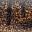 Motor Oil Burbot