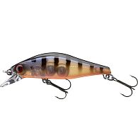 Воблер Daiwa Tournament Wise Minnow 50FS, 16711-205, 5 см, 5,2 г, Pearl Ghost Perch, купити, ціни в Києві та Україні, інтернет-магазин | Zabros