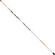 Махове вудилище Brain Blast Pole SE, 5 м, 10-30 г, купити, ціни в Києві та Україні, інтернет-магазин | Zabros