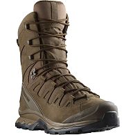 Ботинки Salomon Quest 4D Forces 2 High Gore-Tex EN, L47234100, 10,5, Earth Brown, купить, цены в Киеве и Украине, интернет-магазин | Zabros