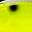 BLCL