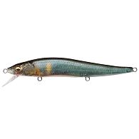 Воблер Megabass Vision Oneten 110SP, 11 см, 14 г, 2,1 м, Fa Kisyu Ayu, купить, цены в Киеве и Украине, интернет-магазин | Zabros