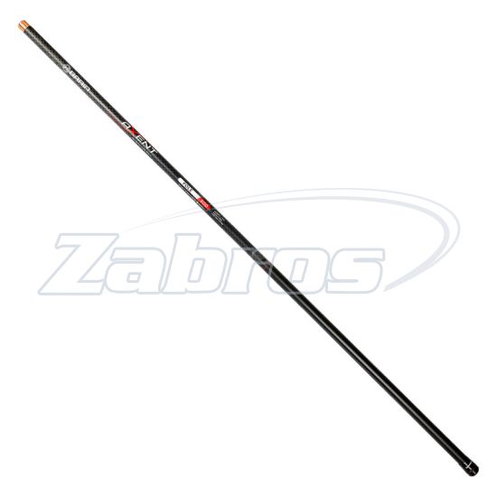 Фото Brain Axent Pole, 4,85 м, 10-30 г