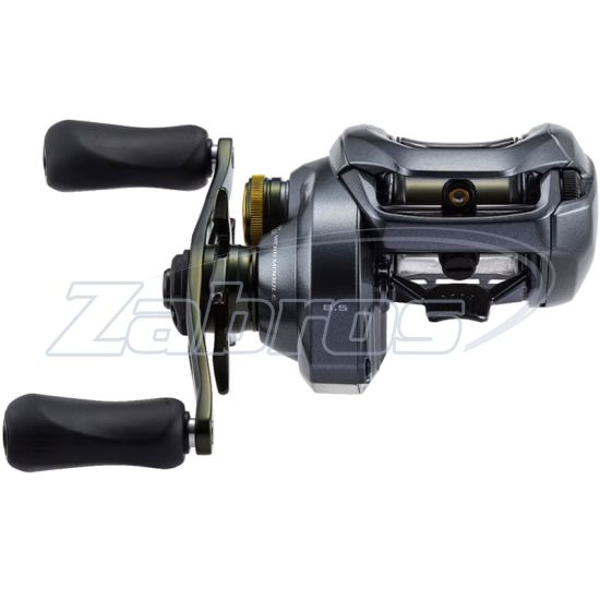 Цена Shimano Curado DC, CUDC200HG