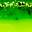 Chartreuse Shocker