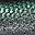 Green/Silver Goby