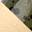 Olive+G