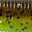 GP Chartreuse UV