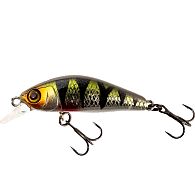 Воблер Jackall Chubby Minnow 35SP, 3,5 см, 2,3 г, 0,5 м, HL Perch, купити, ціни в Києві та Україні, інтернет-магазин | Zabros